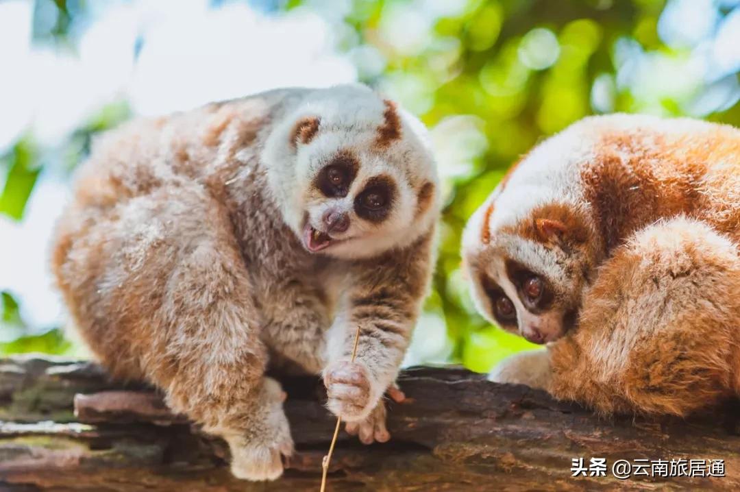 最好的风景在路上云南,有一种山叫云南的山