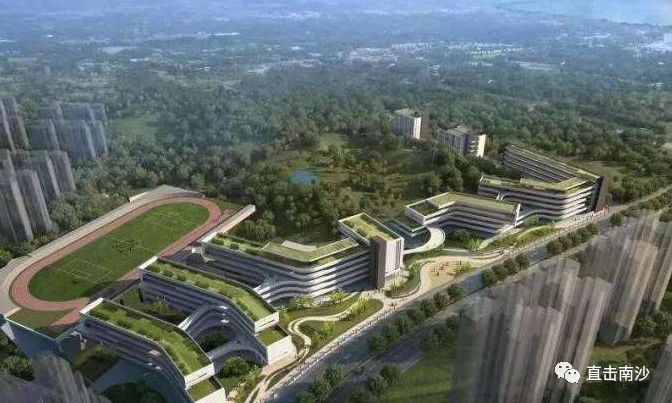 南沙成立优质教育项目引进局际联席会议制度，湾道超车