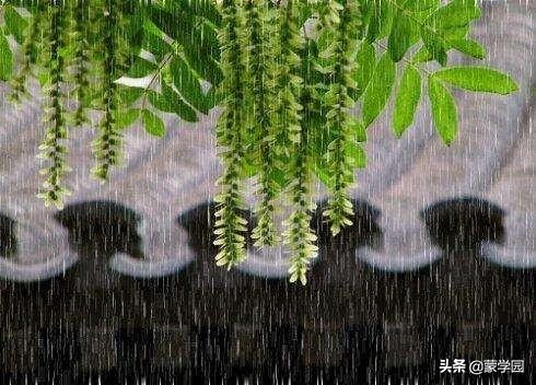 古诗词经典鉴赏陆游,陆游经典诗句二十首