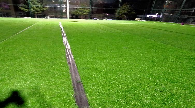 汪清县事件,汪清县涉恶案件