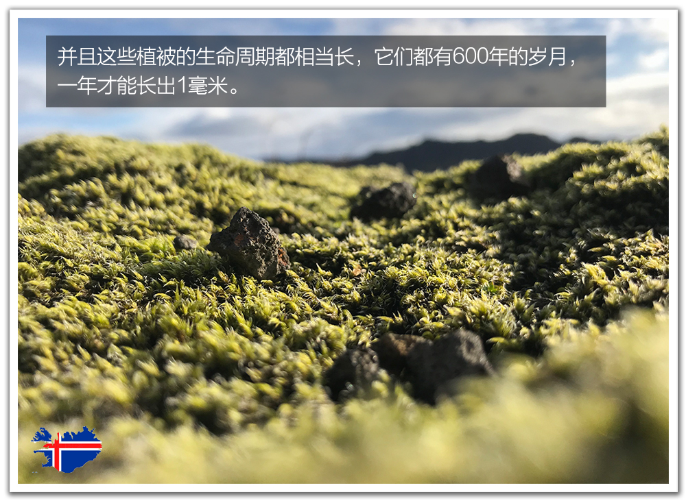 澶т紬閫旈攼鍐板矝鍥剧墖,閫旈攼鍐板矝