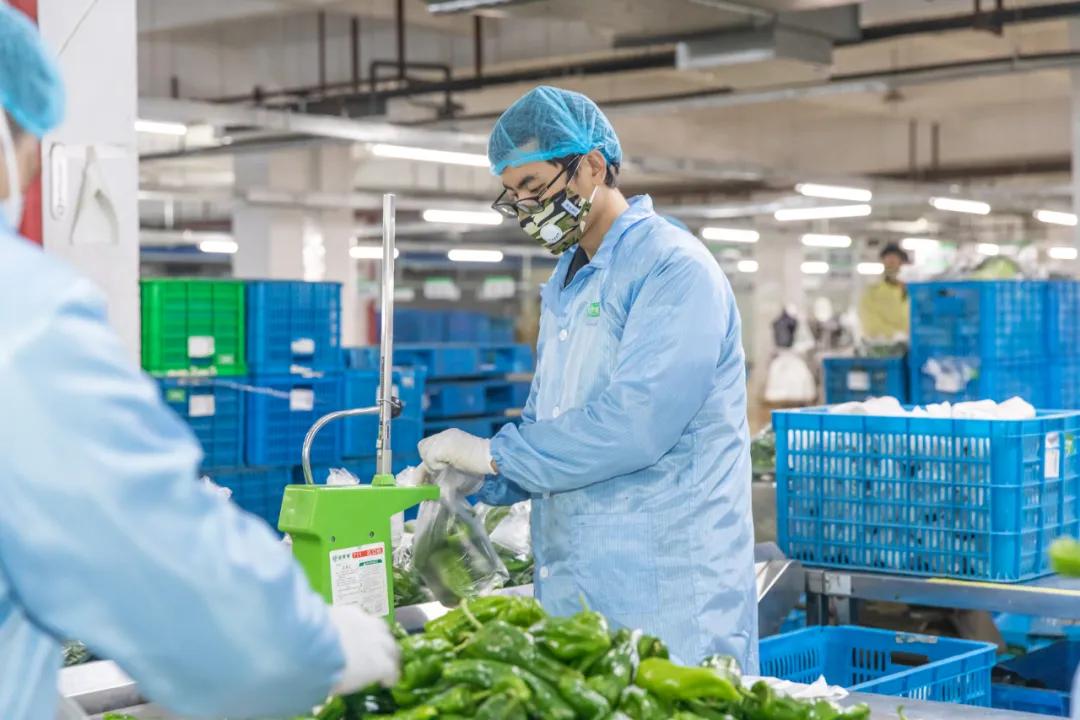 食行生鲜的创始人,食行生鲜生存的原因