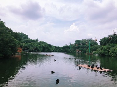 广州游玩五日游推荐路线,广州周边冬季自驾游一日游