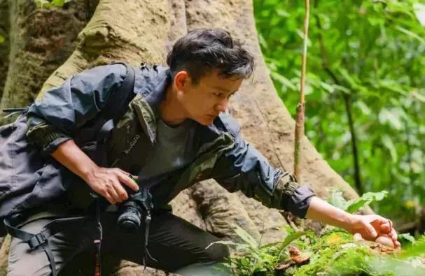 河南“水果猎人”走遍东南亚雨林，吃过600多种水果；月球上长出第一株绿芽，种子培育来自安阳丨大河早新闻