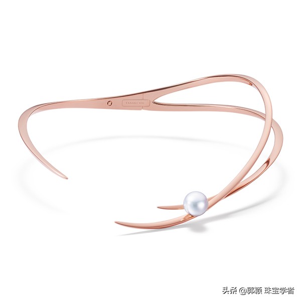 珍珠的贝壳妈妈,珍珠的妈妈叫什么