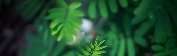 课后服务有温度,东营市课后服务文件