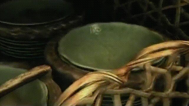 南海惊现神秘古沉船 (中国在南海发现的沉船)