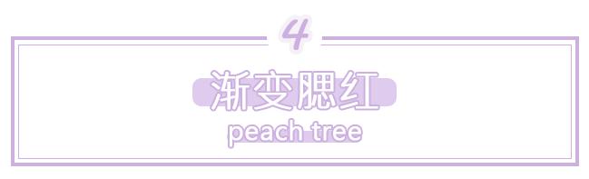 脱妆？粗毛孔？这款蜜粉饼，磨皮又控油