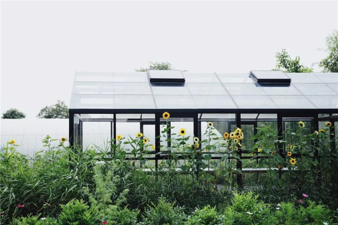 最会说情话的人全集,最会说情话的人