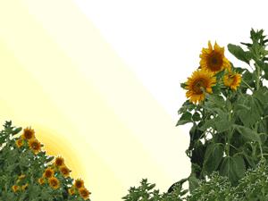 问候大家早上好贴心祝福语,最新早上好问候祝福语短信图片