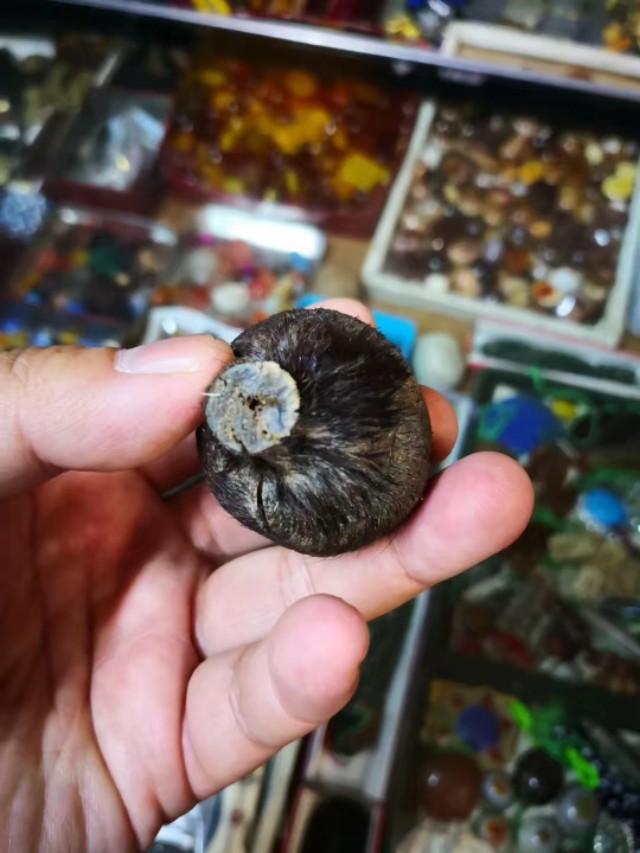 德黑兰摩的之旅视频,逛德黑兰街景