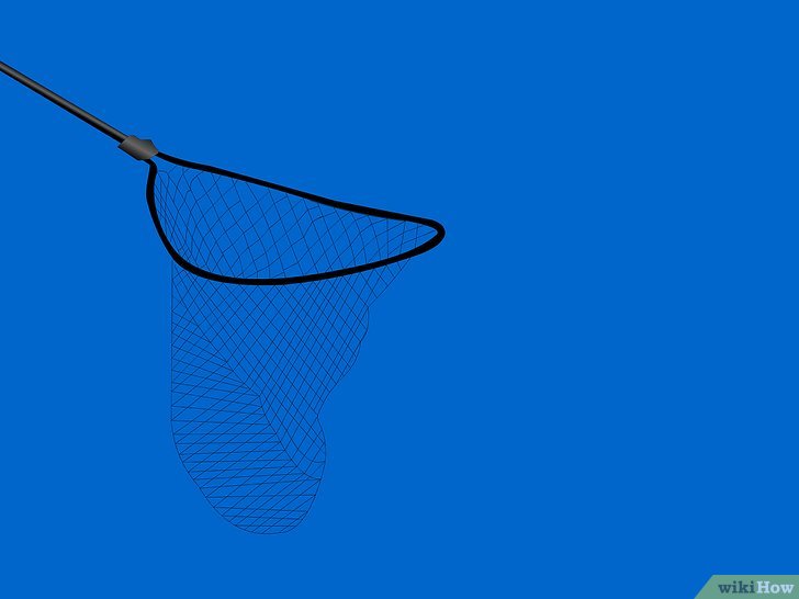 双子线跑铅钓鱼的正确方法,泥鳅钓鱼的正确方法和技巧