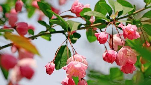 南唐宰相的一首怀人小词，脍炙人口，“风乍起，吹皱一池春水”