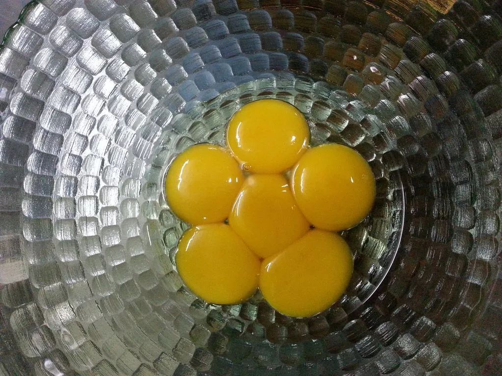 长毛猫和短毛猫哪个更好养,长毛猫和短毛猫哪个更打理