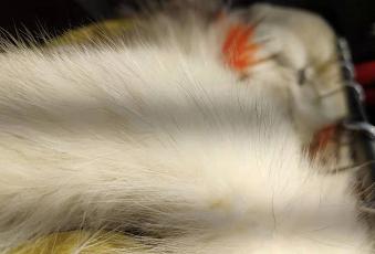 怎样做库存尾货服装生意,服装尾货生意前景