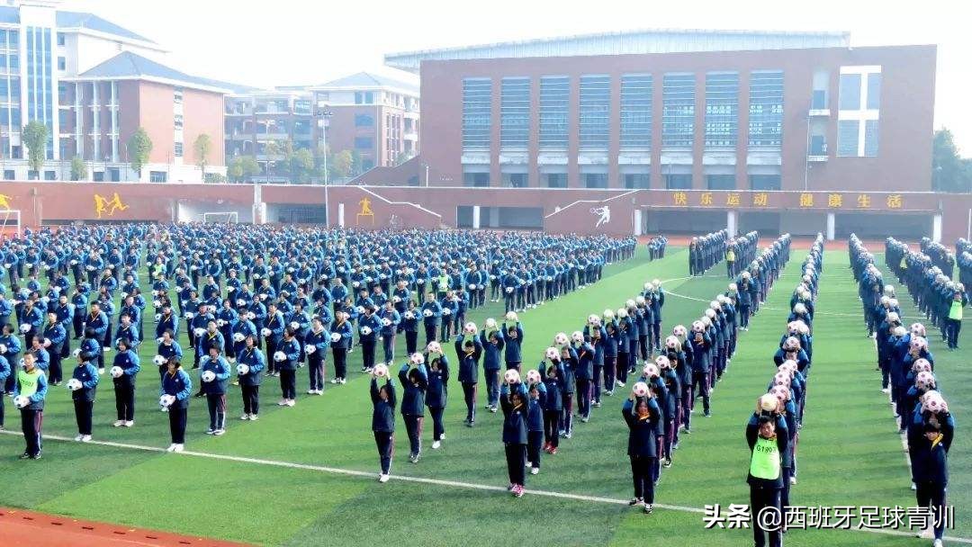 中国足球伪职业化的三个观点,中国足球的看法和建议手写