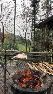 学会这招不愁找不到女朋友,学会这几招不怕找不到女朋友