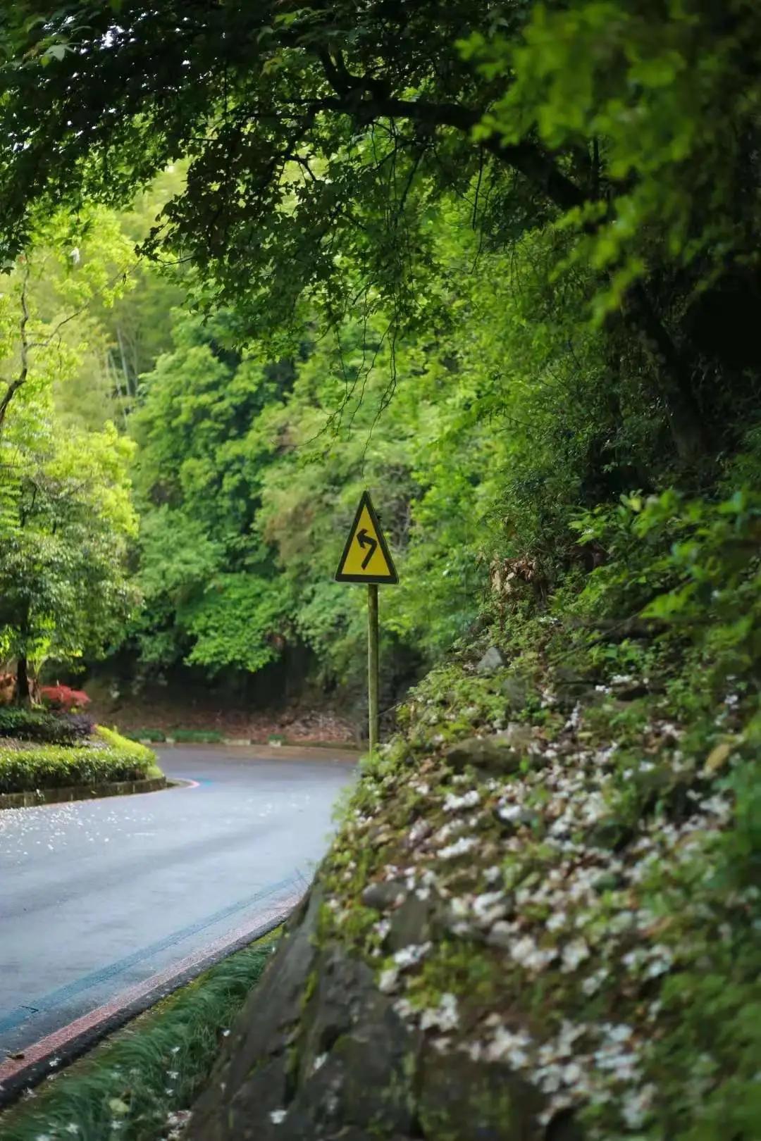 温州值得骑行打卡的地方,温州有哪些骑行的好地方