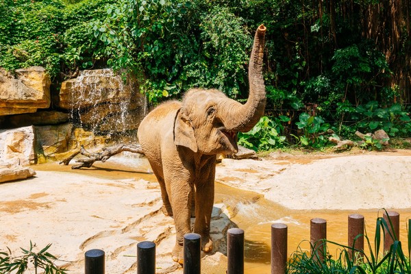 广州长隆旅游攻略自由行详细,广州长隆五一节3天2夜亲子游攻略