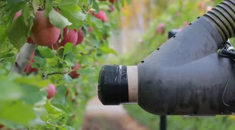 政策：支持农药产业科技创新；未来10年有机农业或领导中国农业