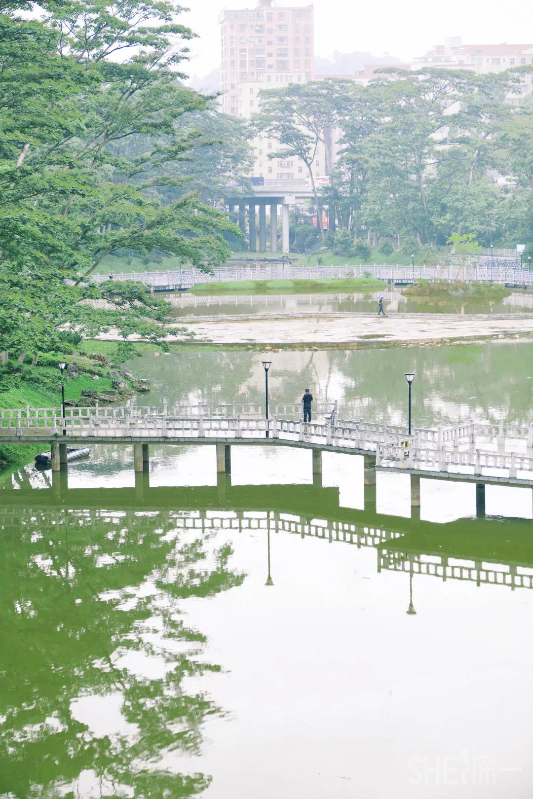 深圳八大绝美公园,山水公园深圳