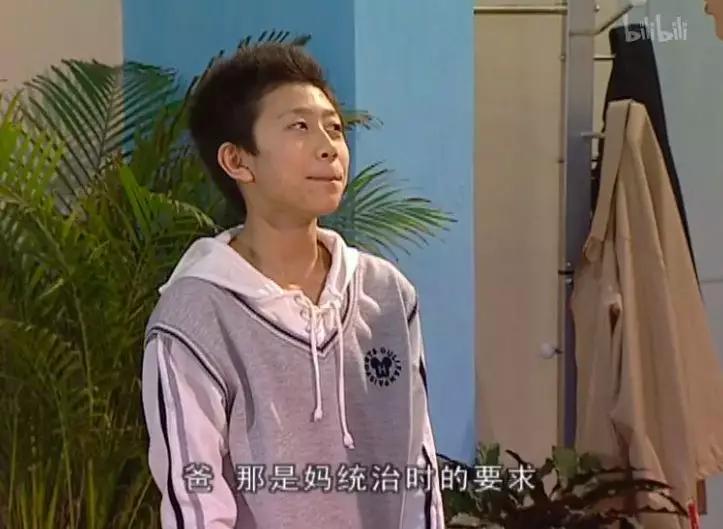 家有儿女刘星家到底是多有钱,家有儿女刘星家究竟多有钱