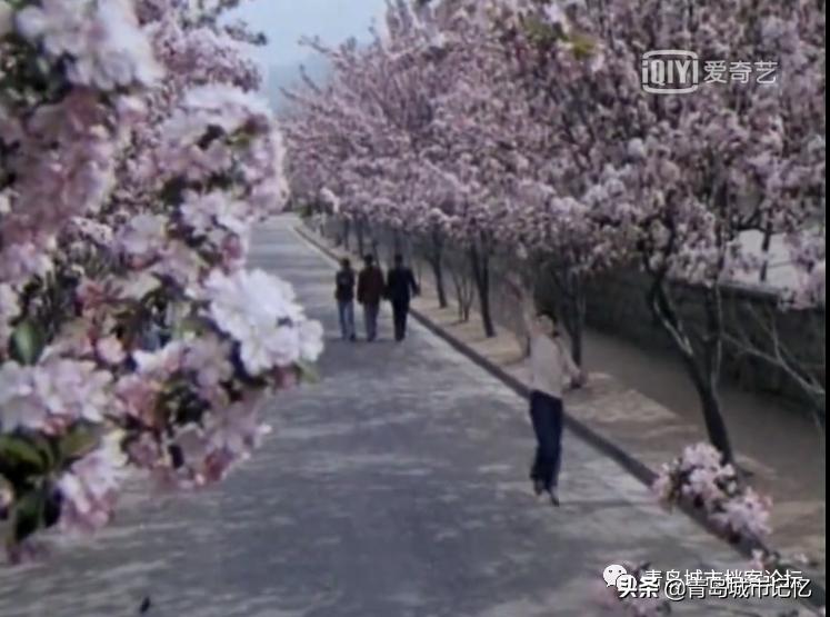 青岛小青岛取景的电影,曾经在青岛拍摄过的少儿题材电影