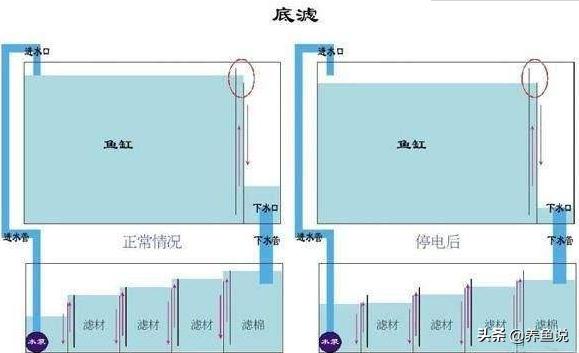 鱼缸水浑浊用什么过滤最好,底部过滤鱼缸水浑浊变清的方法