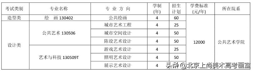 四川美术学院2019年江西录取人数,四川美术学院的招生标准和要求