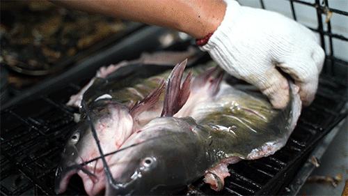 徐州烤鱼哪家最好吃,徐州烤鱼哪里最正宗