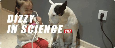 没有听诊器医生听诊,没有听诊器之前怎么听心跳