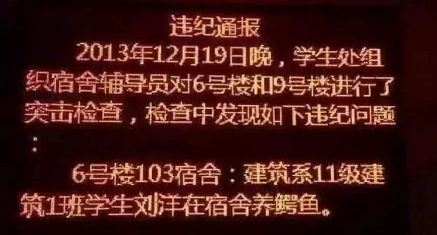 大学宿舍养狗什么处分最严重,大学生在宿舍养猪被通报批评