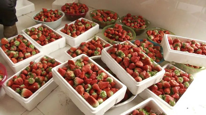 正定天山翡丽公馆几梯几户,正定天山翡丽公馆二手房