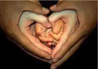 中国这个地方专出大老板！非常有意思！