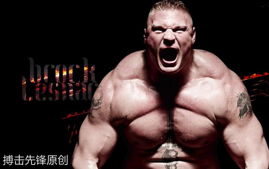 布洛克莱斯纳把大布带入重摔之城,布洛克莱斯纳在ufc算什么水平