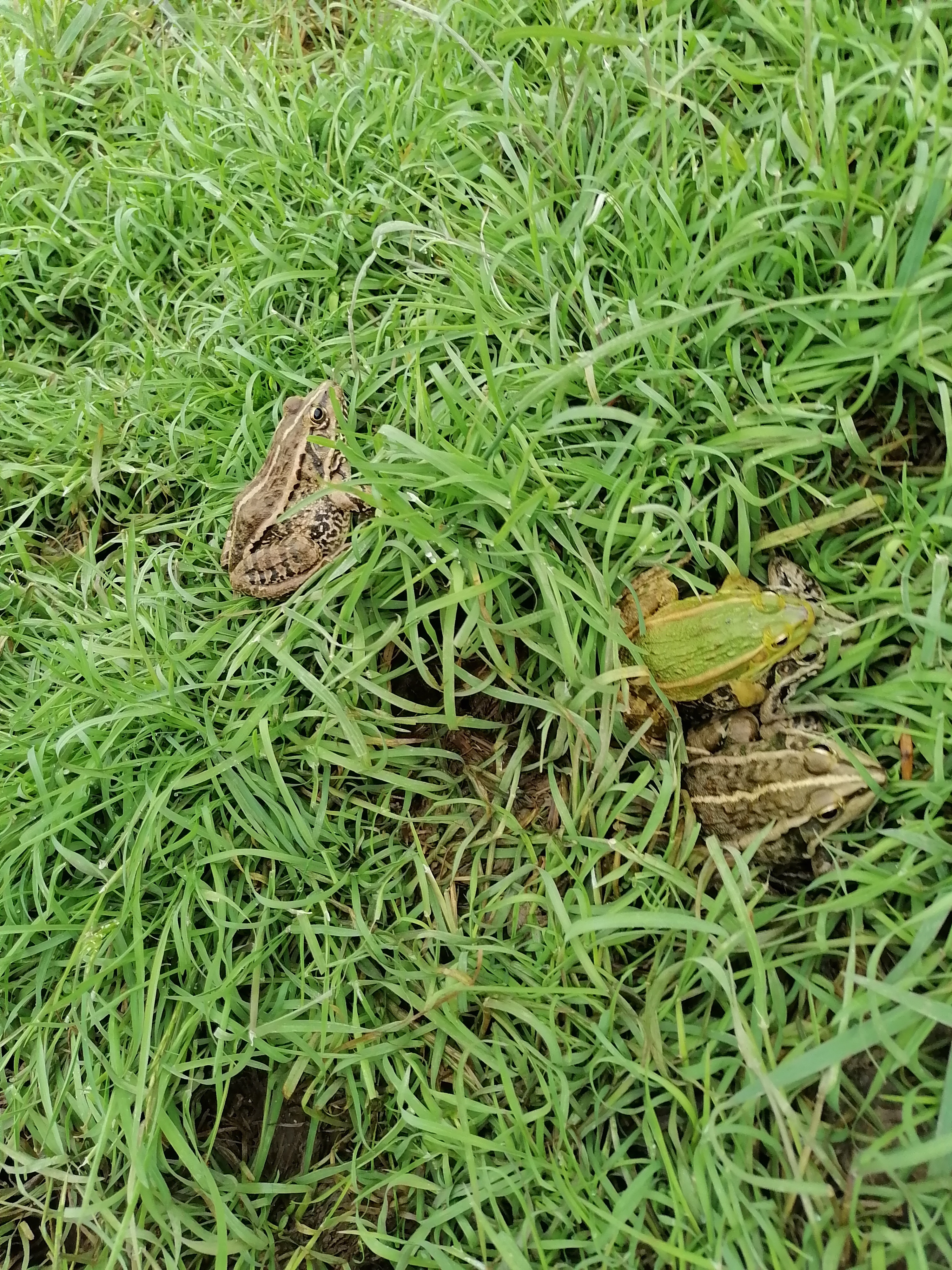 长沙周边农家乐排行榜前十名,长沙最好玩的农家乐