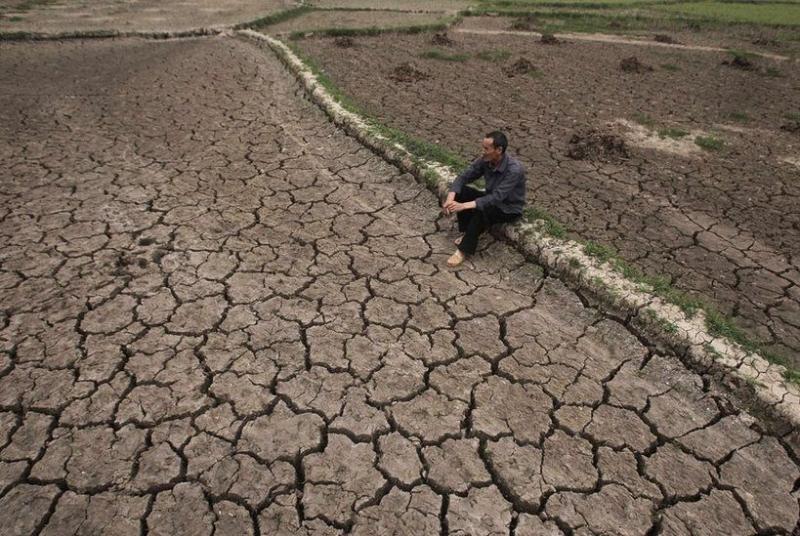土地干旱,土地干旱怎么解决