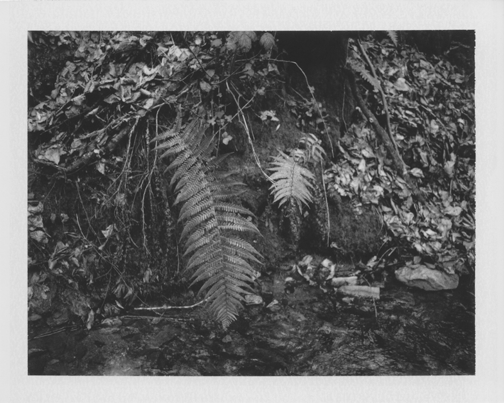 现在手机有三个摄像头有什么用,手机有3个摄像头只有一个在用