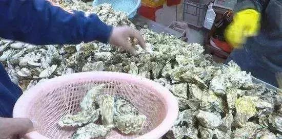 秦皇岛海鲜码头4月开海,秦皇岛开海海鲜