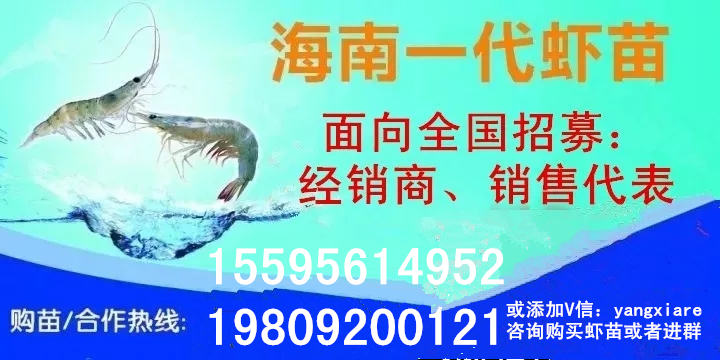 池塘属于什么生态系统,水产养殖生态系统