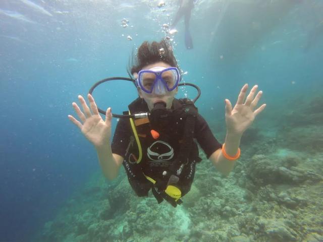 应届毕业生职业规划师,毕业4年找工作