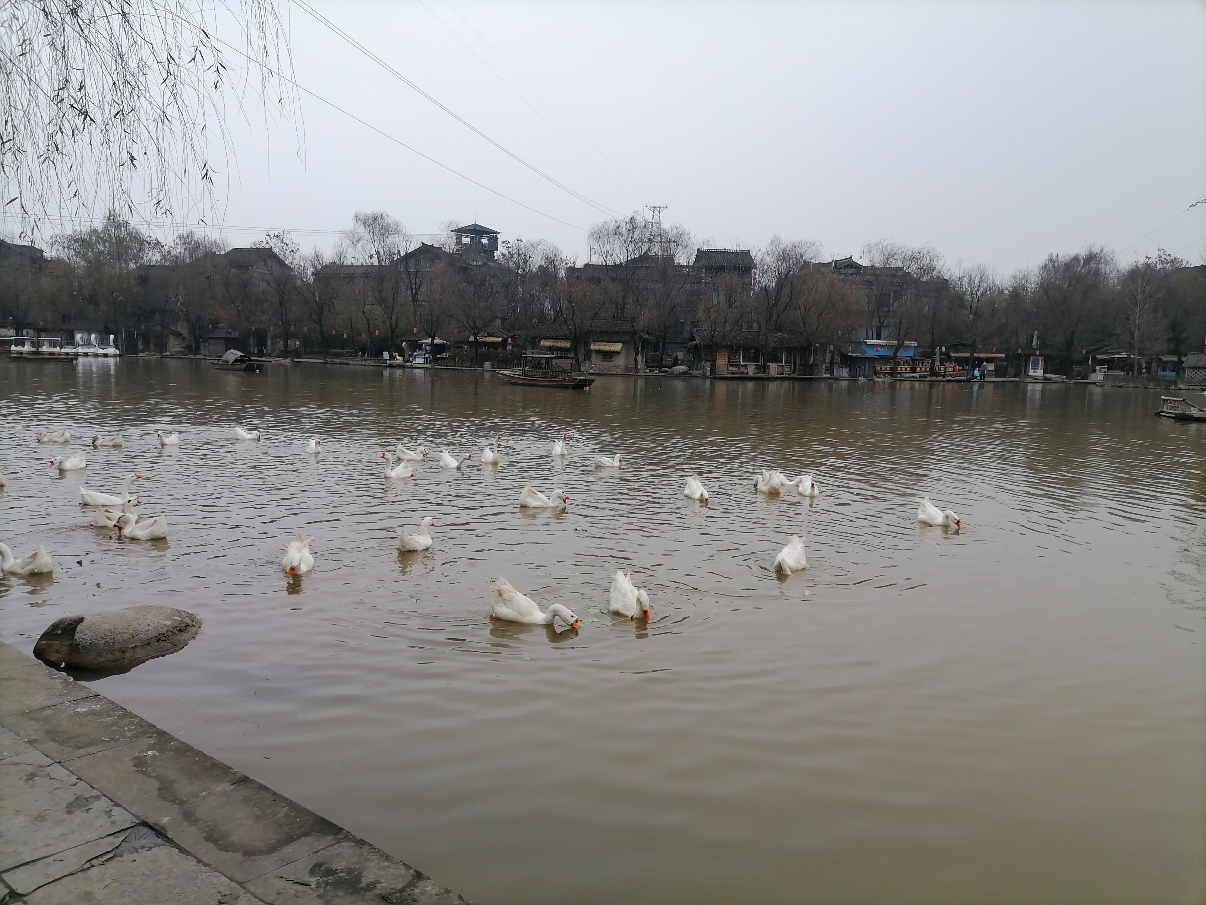 家乡的湖随笔400字,家乡的湖一年四季