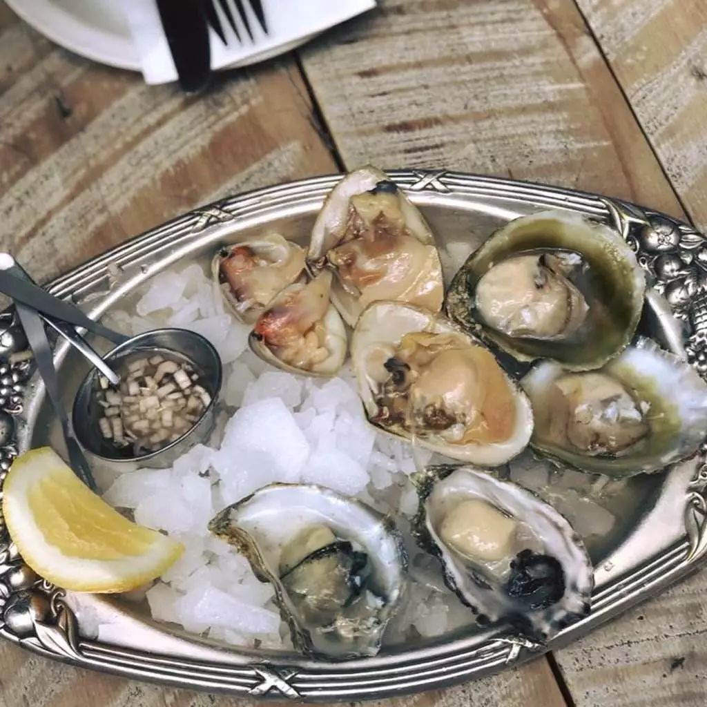 看了新西兰的这些酒庄和美食，让人蠢蠢欲动