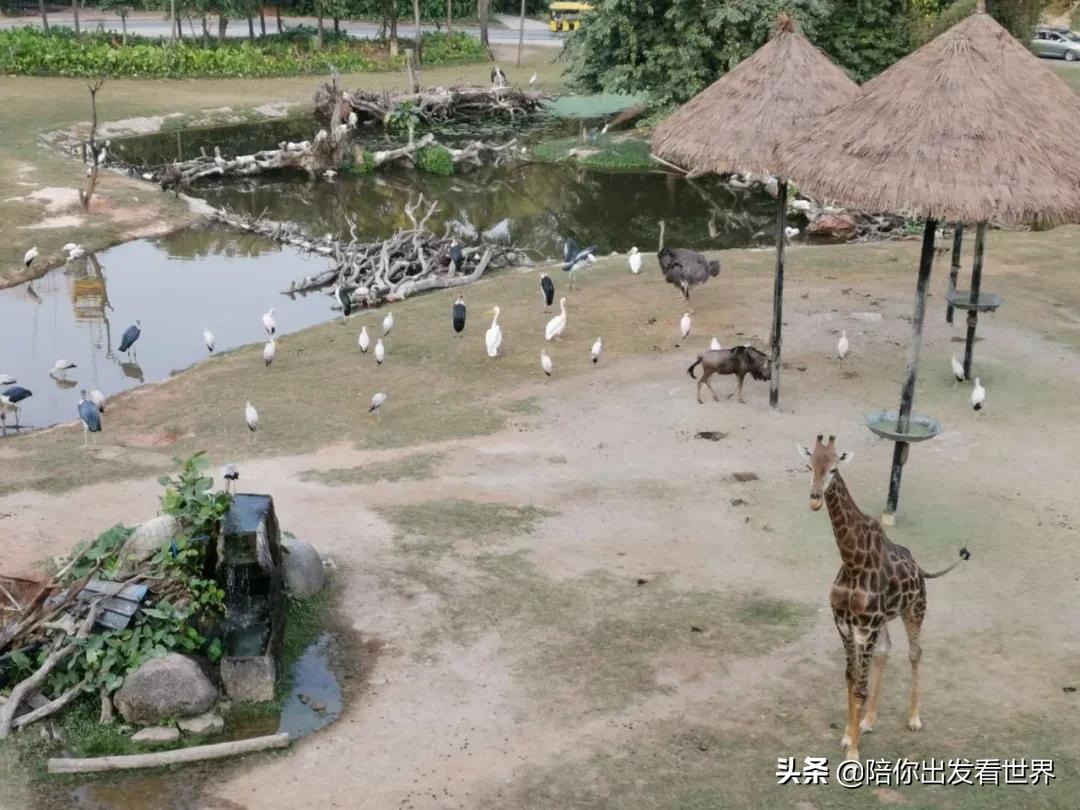 帮助家庭轻松育儿的居家好物,这十件好物实用有趣