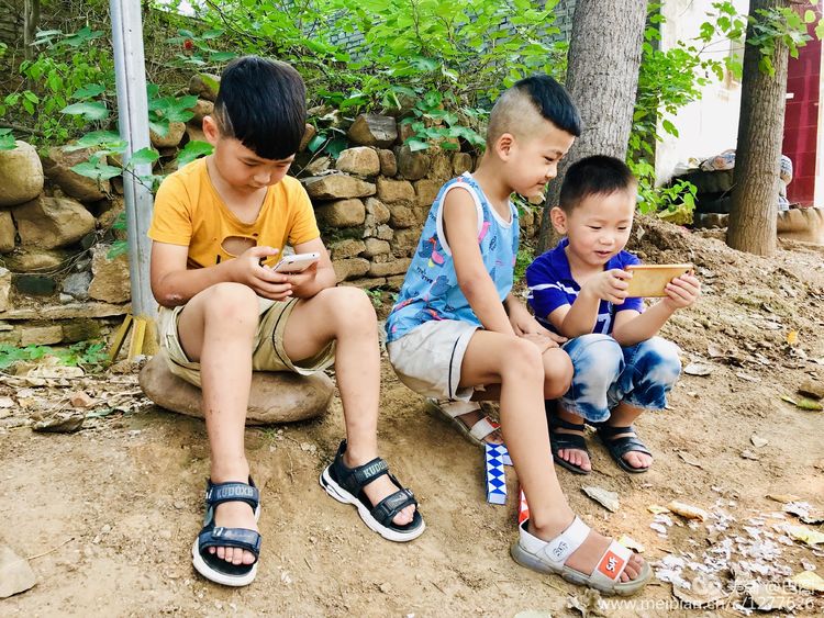 金色童年8张图片,金色的童年相片