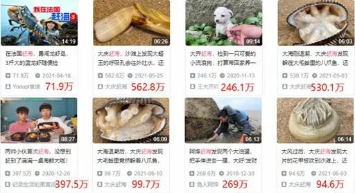 为何年轻人都在沉迷赶海视频,为什么大家都爱看赶海