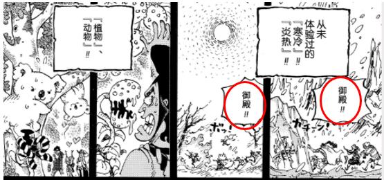 为什么说加洛特是草帽团的第十人 (加洛特是草帽海贼团的第十人)