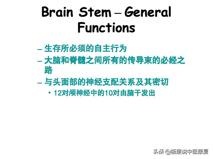 中枢神经系统断层解剖讲解,中枢神经3d解剖动画