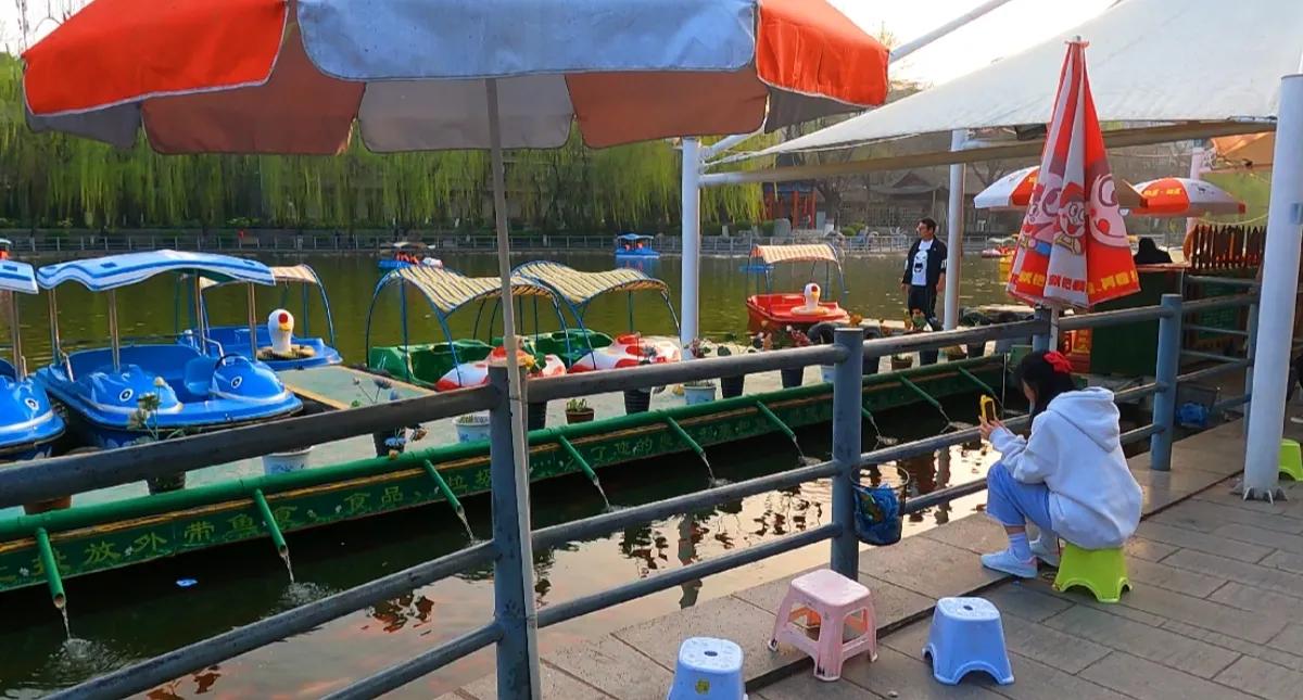 西安莲湖公园要门票吗,西安莲湖公园历史