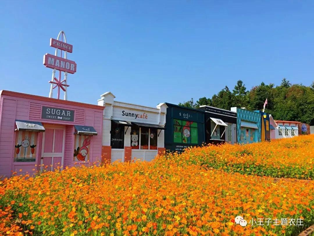 瑞安旅游全攻略,瑞安旅游攻略推荐